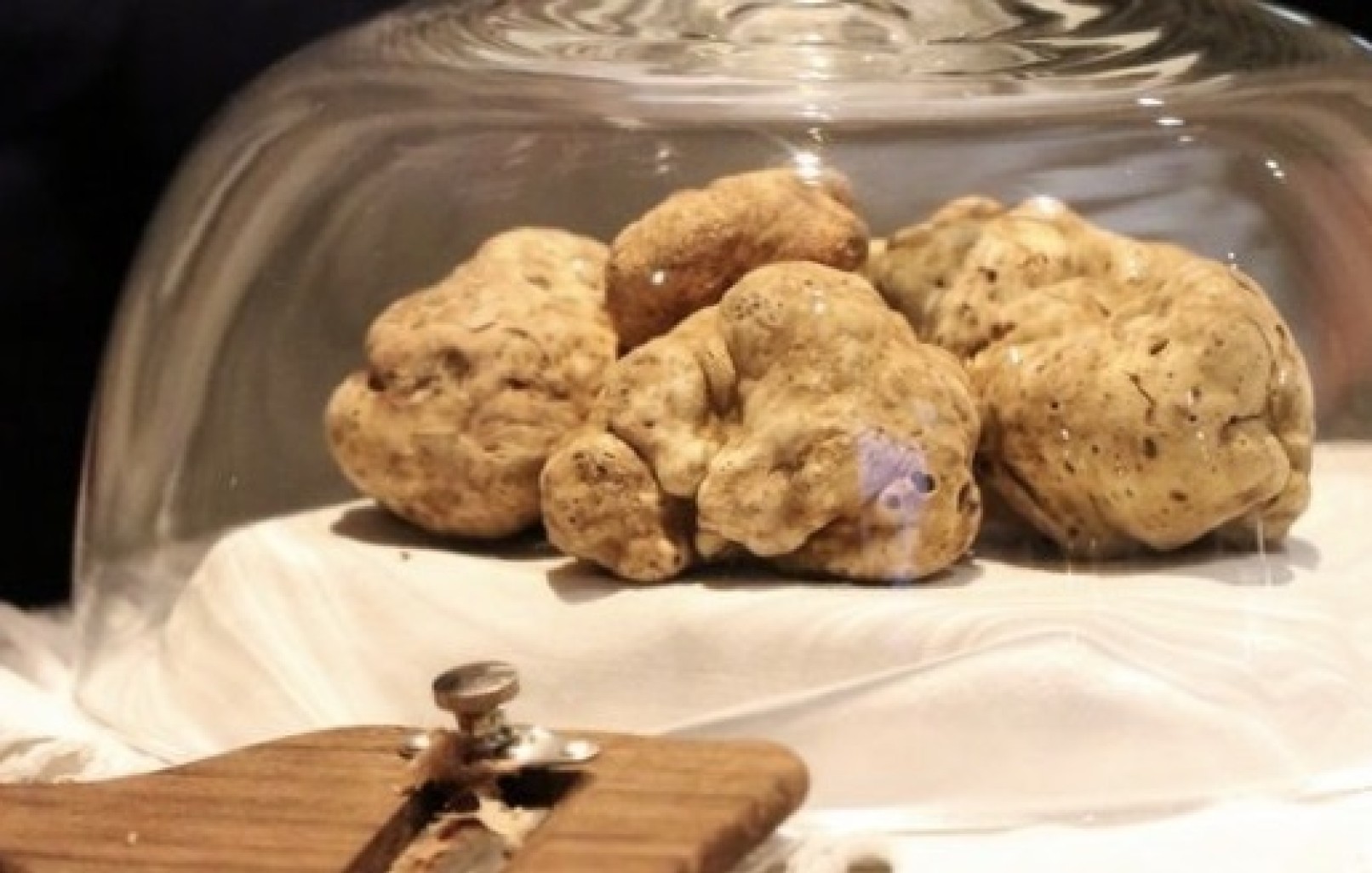 Witte truffel Piemonte