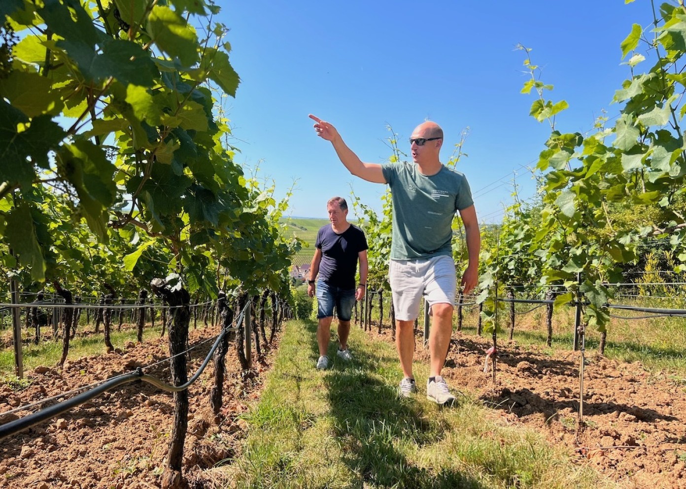 Weingut pfirmann entrepot du vin