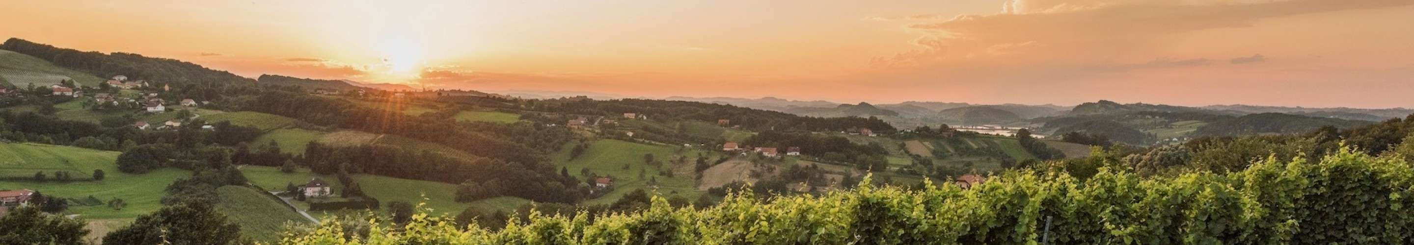 Horeca entrepot du vin