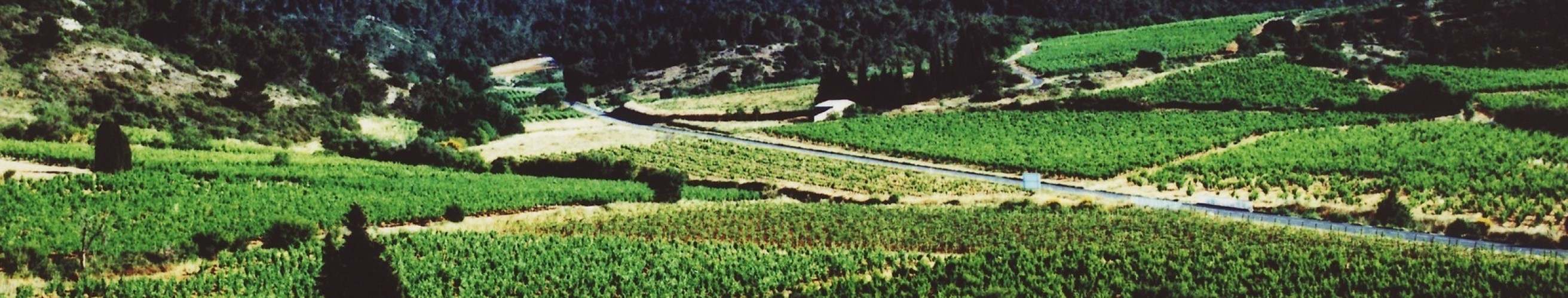 Chateau maylandie ferrals les corbieres boutenacentrepot du vin 3