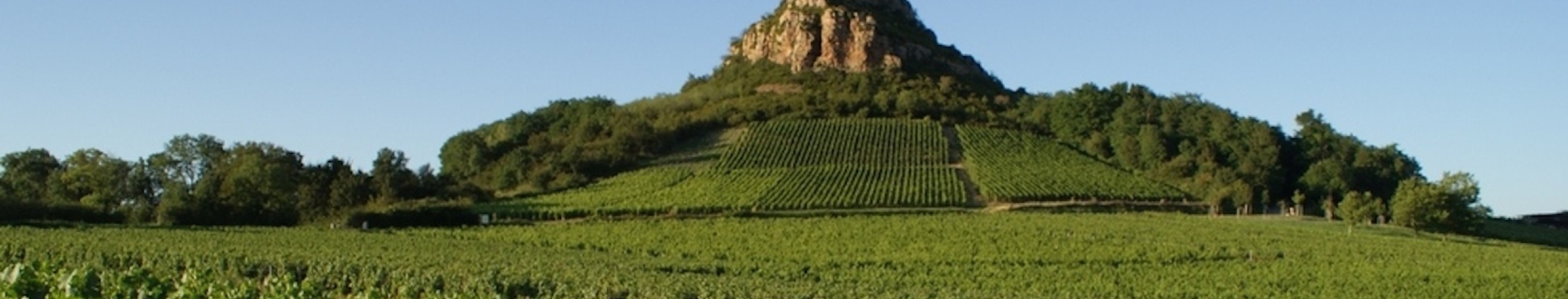 Domaine du chalet pouilly maconnais bourgogne entrepot du vin 3