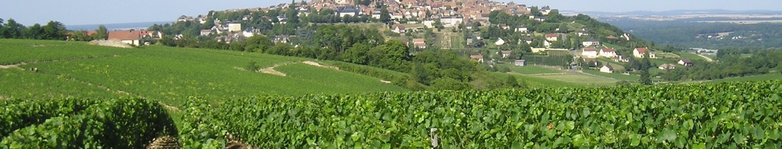 Domaine eric louis celliers de la pauline loire sancerre entrepot du vin 3