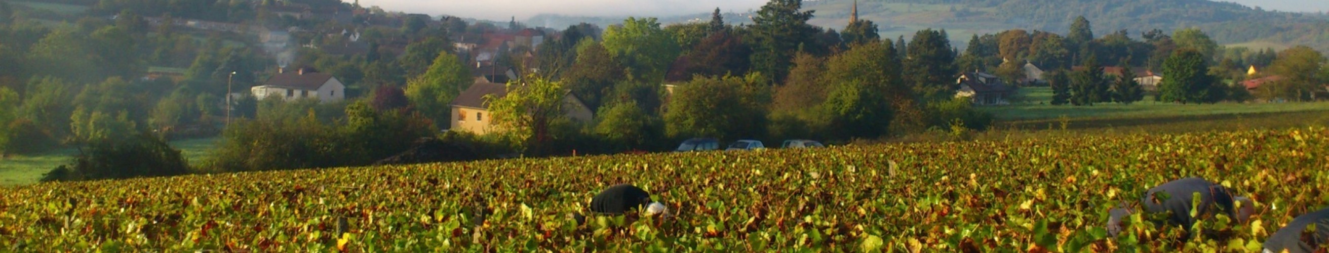 Domaine francois bergeret bourgogne hautes cotes de beaune entrepot du vin 3