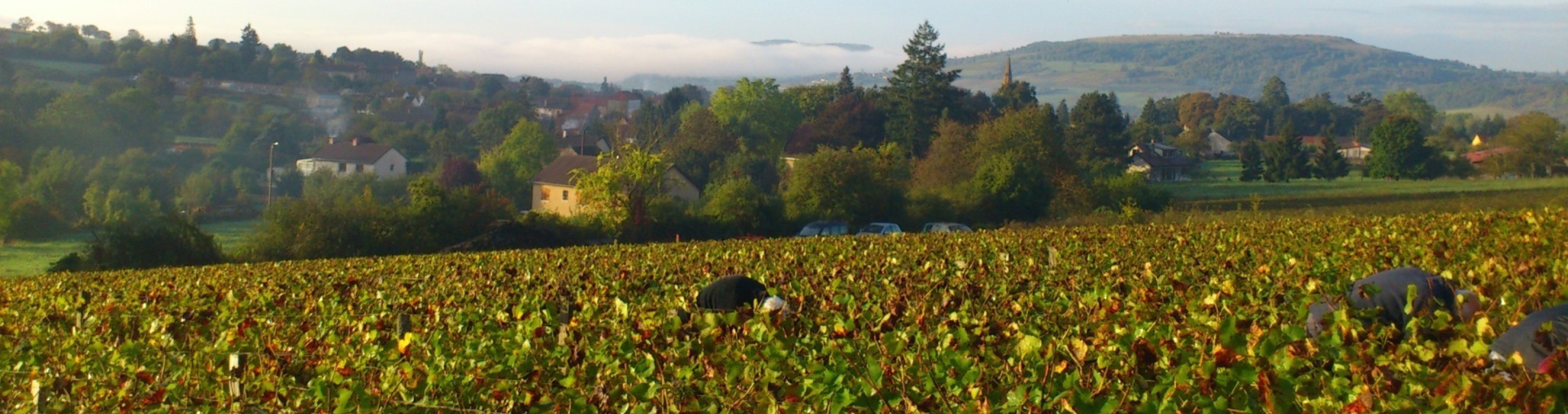 Domaine francois bergeret bourgogne hautes cotes de beaune entrepot du vin 3