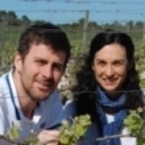Domaine ventenac vignobles alain maurel cabardes entrepot du vin 2