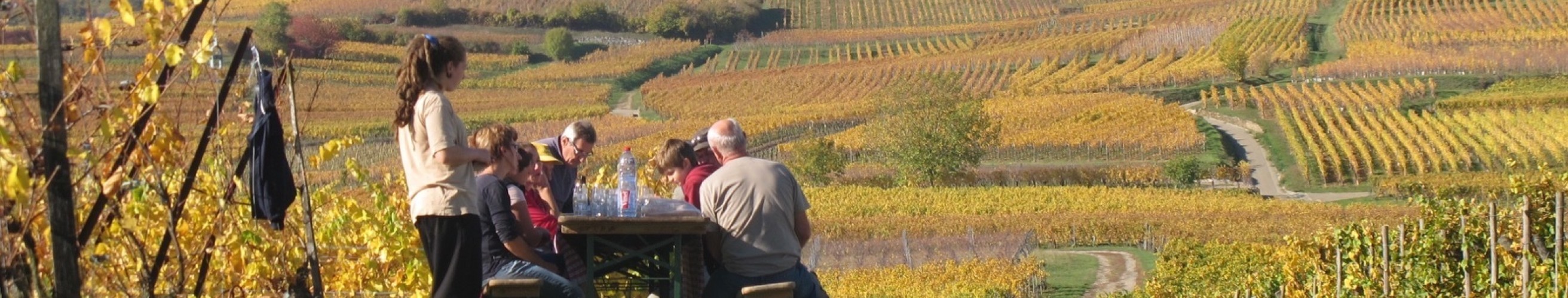 Paul ginglinger michel alsace frankrijk entrepot du vin 5