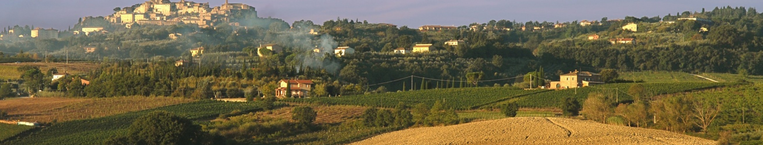Podere il maccione gracciano montepulciano entrepot du vin 3