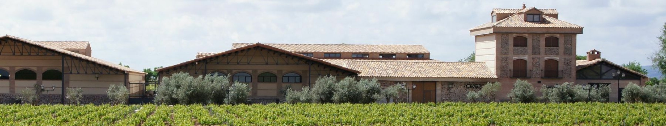 Quixote pago casa del blanco manzanares entrepot du vin 3