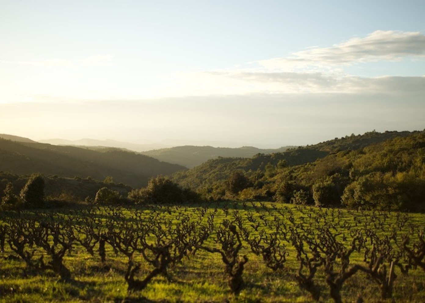 Domaine des deux cles wijngaard entrepotduvin