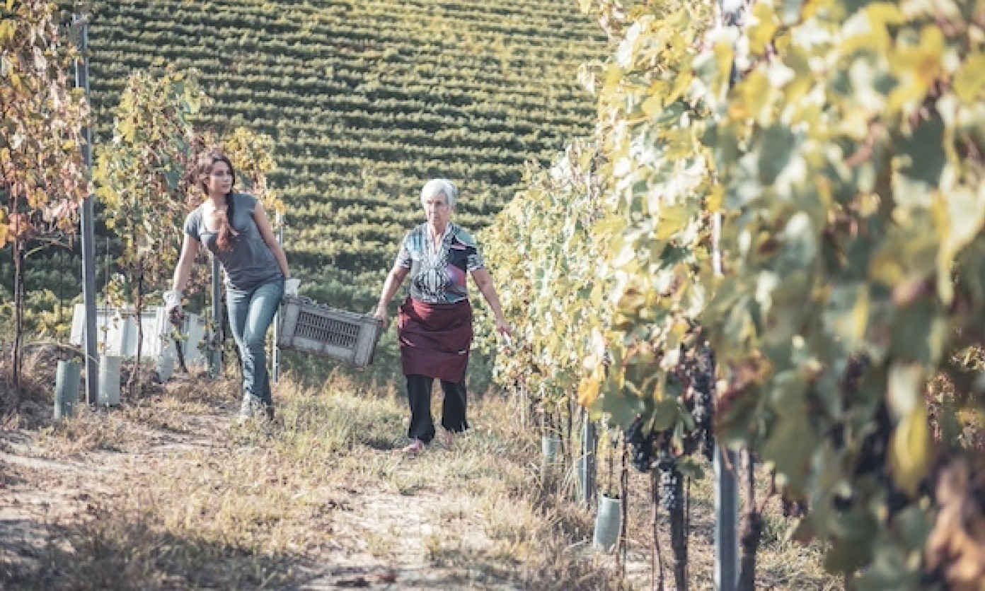 Vengore harvest entrepotduvin