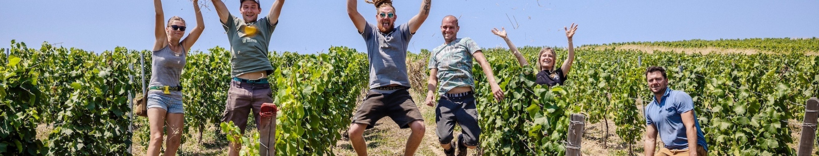 Domaine de boischampt entrepotduvin