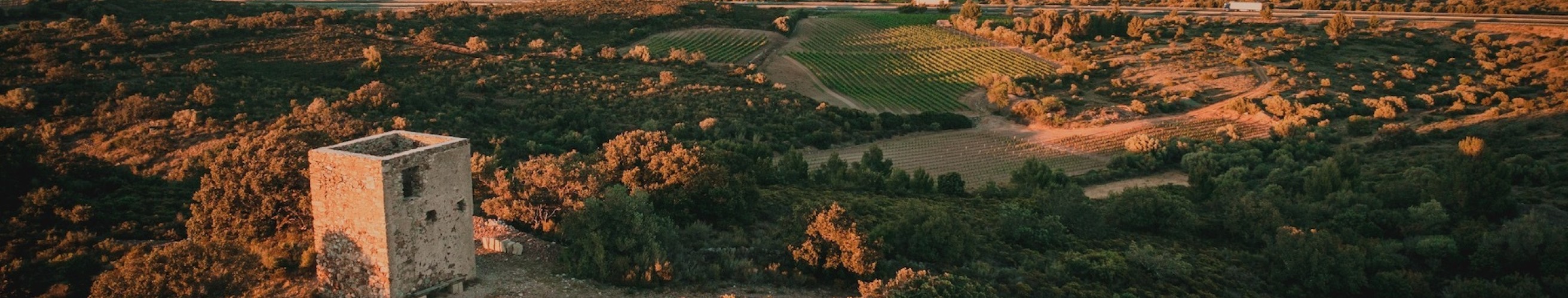Domaine de la rochelierre entrepotduvin 1
