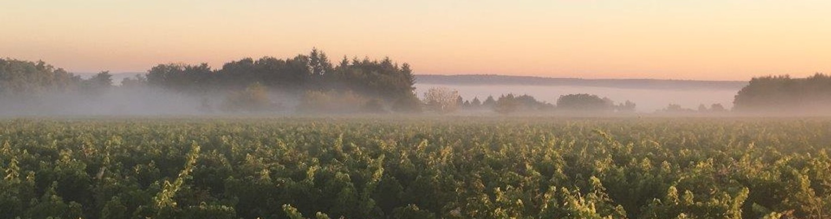 Domaine de laumonier entrepotduvin