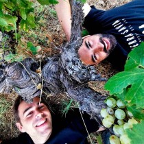Jose pedro tierra savia entepot du vin