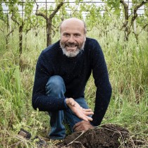 Larchetipo entrepotduvin francescco dibenedetto