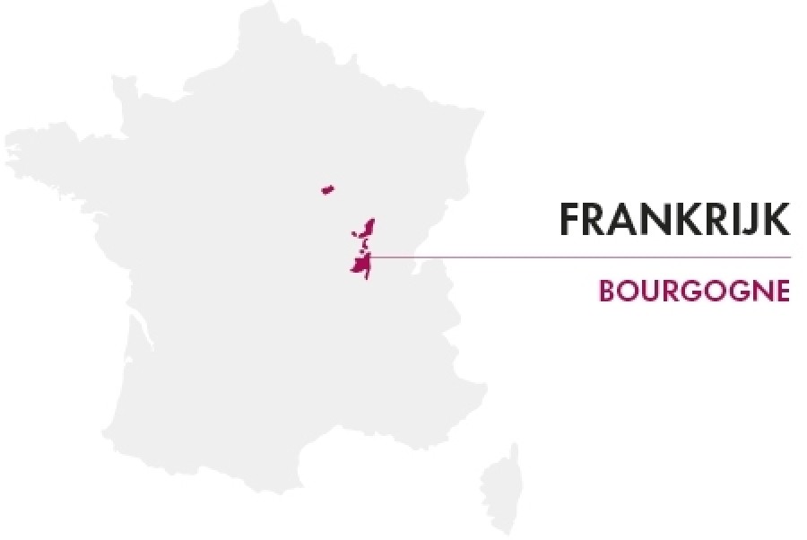 Wijnregio frankrijk bourgogne entrepot du vin