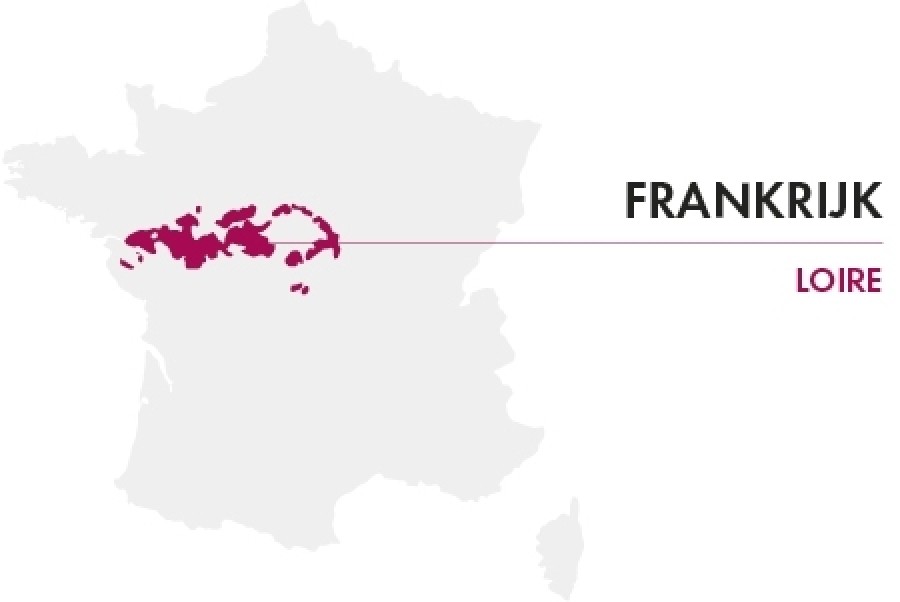 Wijnregio frankrijk loire entrepot du vin