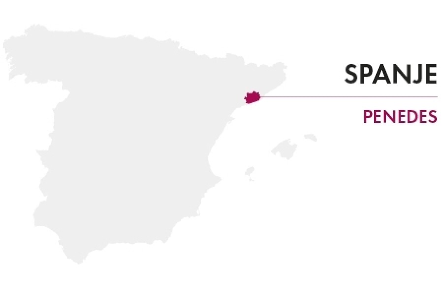 Wijnregio spanje penedes entrepot du vin