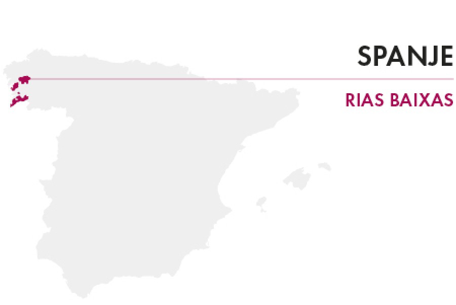 Wijnregio spanje rias baixas entrepot du vin